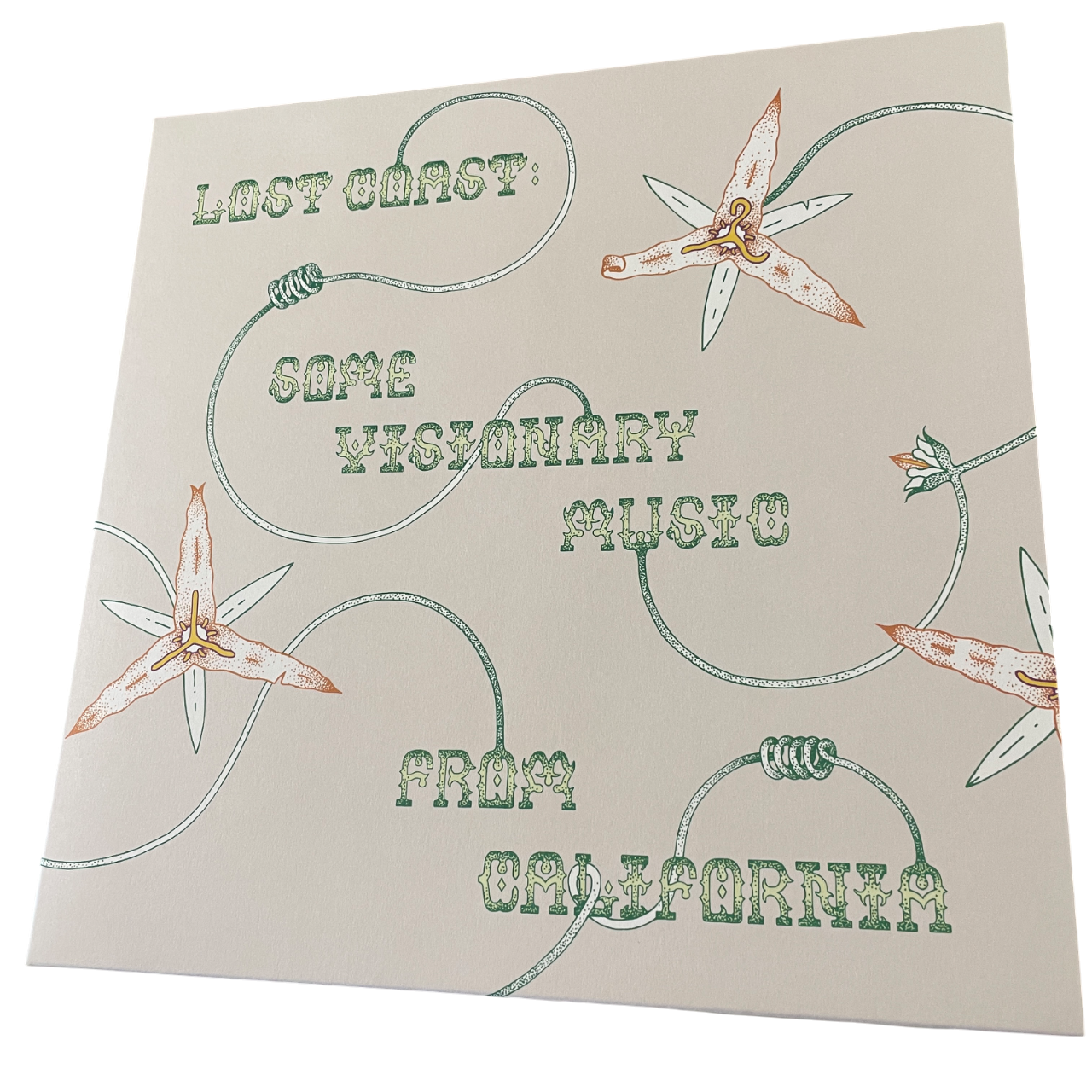 V/A - Lost Coast: Some Visionary Music From California | LP