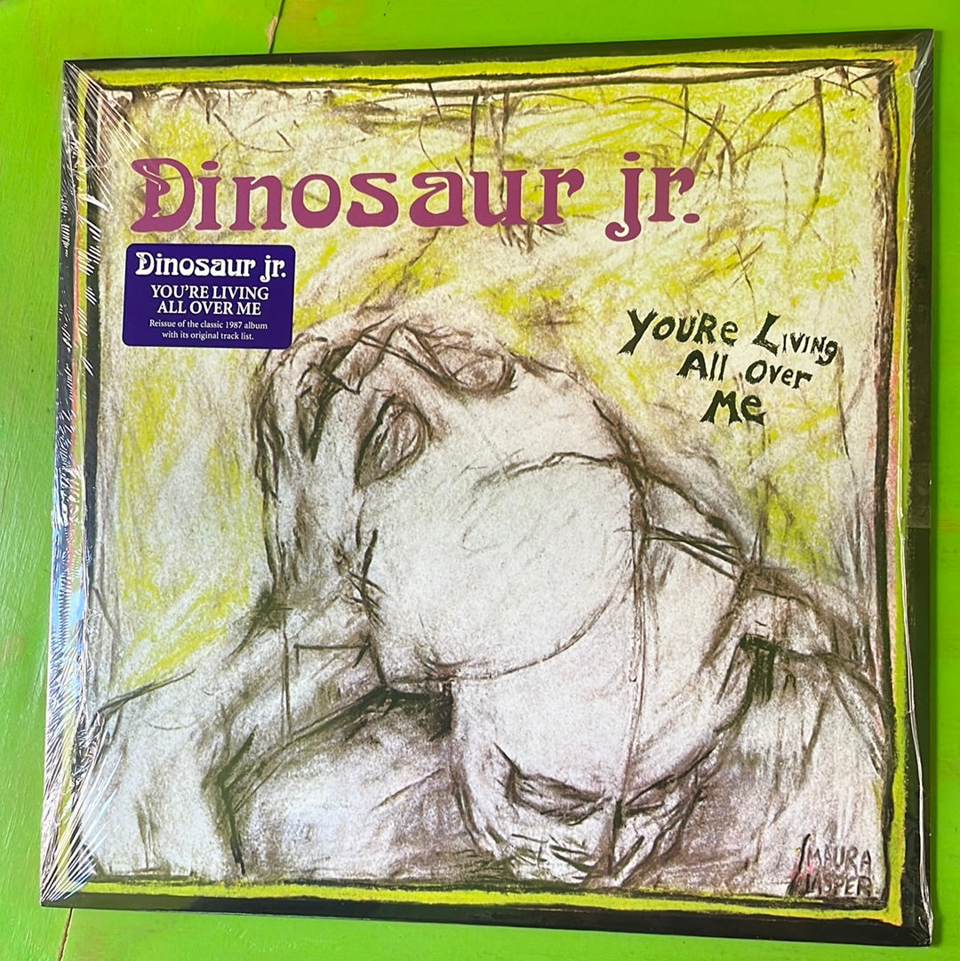 Dinosaur Jr. - You're Living All Over Me | LP