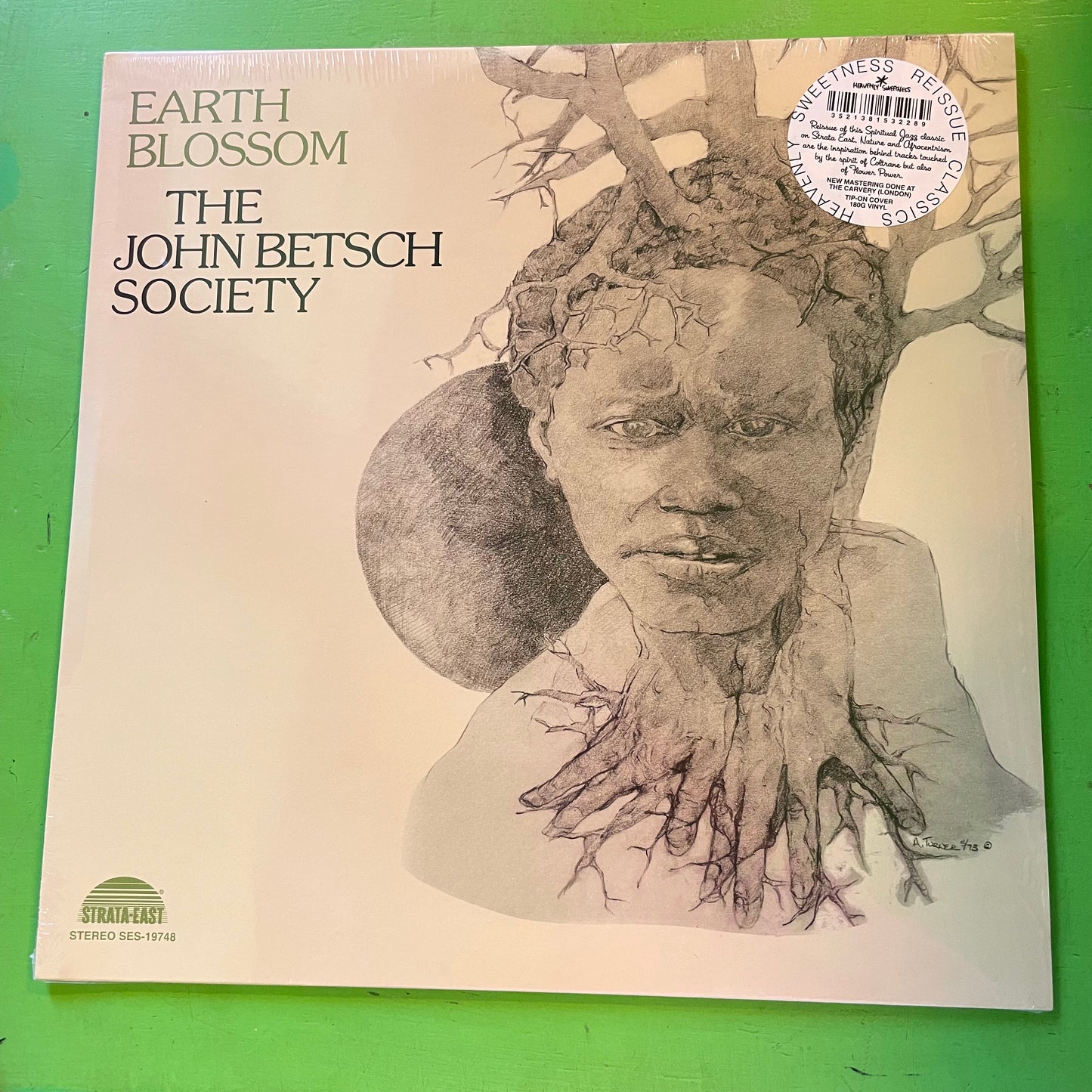 The John Betsch Society - Earth Blossom | LP