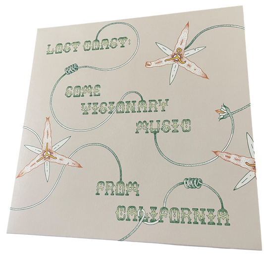 V/A - Lost Coast: Some Visionary Music From California | LP