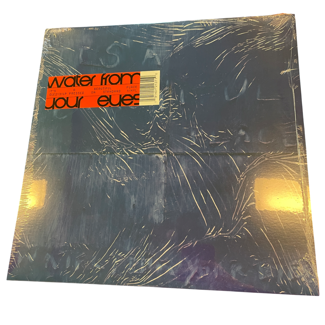 Water From Your Eyes - It's A Beautiful Place | LP