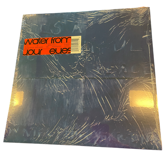 Water From Your Eyes - It's A Beautiful Place | LP