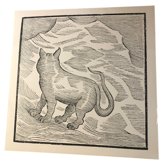 Valentina Magaletti & YPY - Kansai Bruises | LP