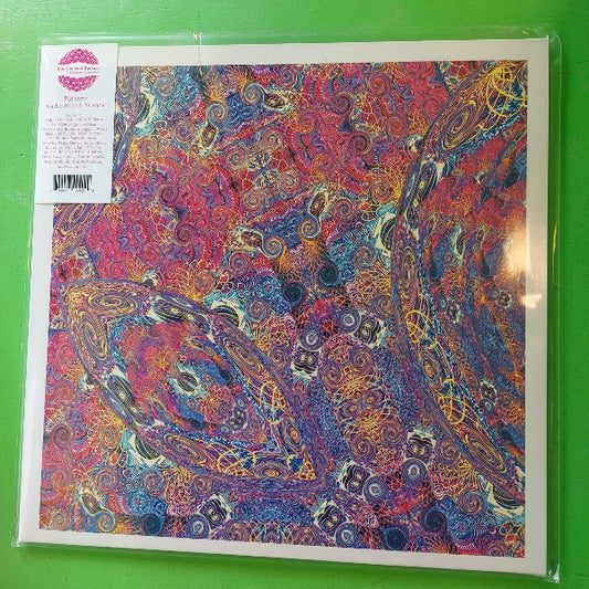 Carlos Niño & Friends - Placenta | 2LP