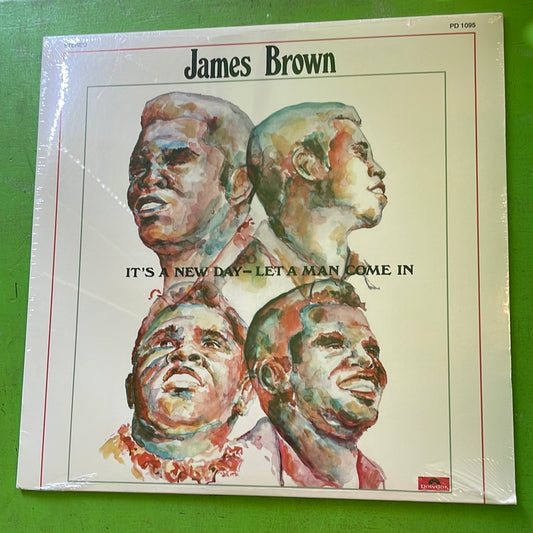 James Brown - It's A New Day So Let A Man Come In | LP