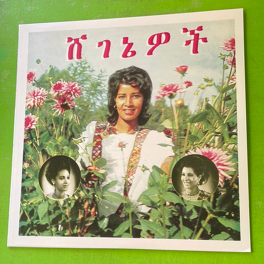 Aselefech Ashine And Getenesh Kebret With Army Band - Beauties | LP