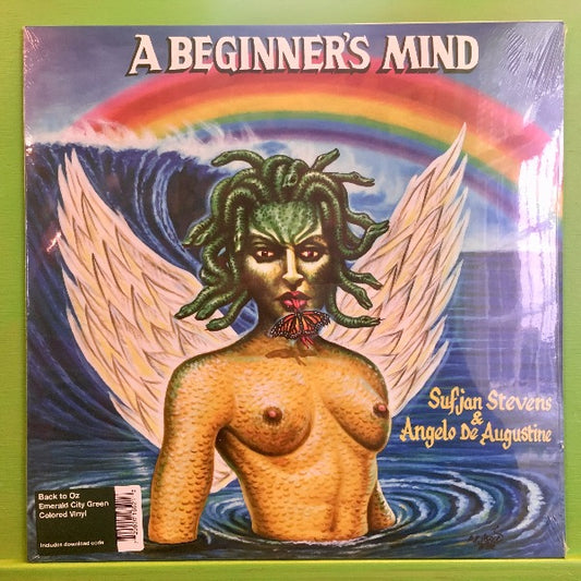 Sufjan Stevens & Angelo De Augestine - A Beginner's Mind | LP