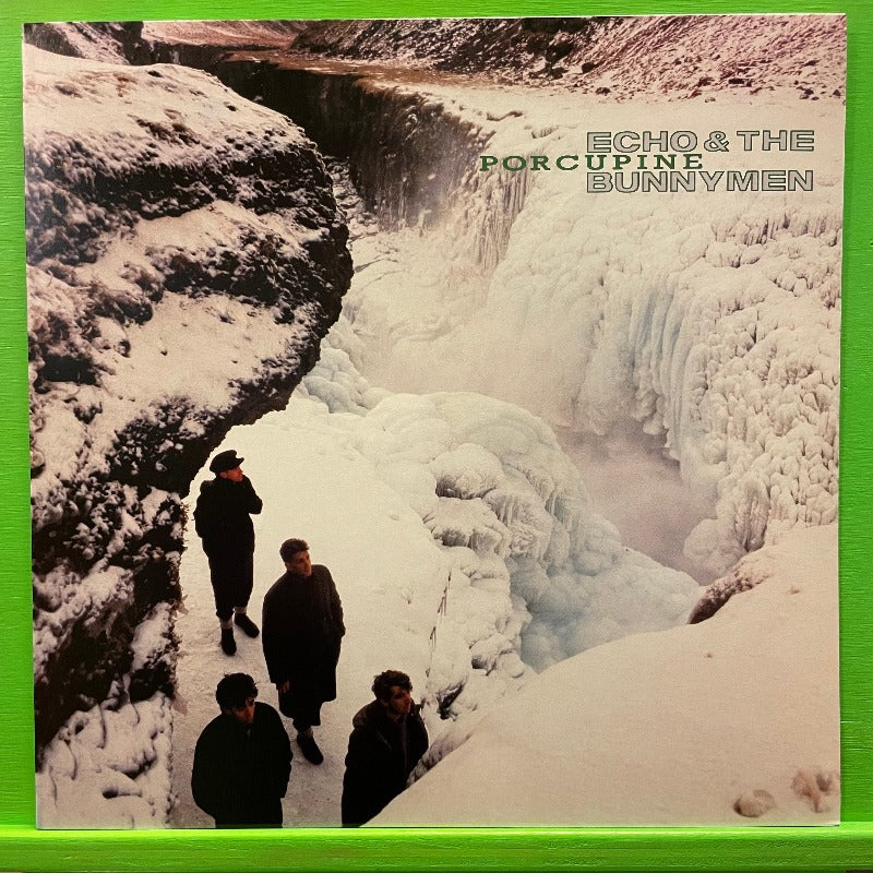 echo Bunnymen Porcupine LP