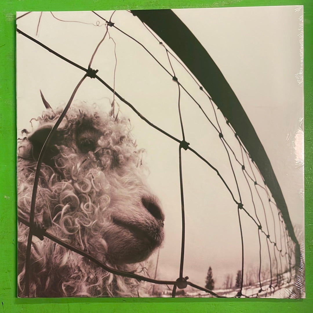 Pearl Jam - Vs. | LP
