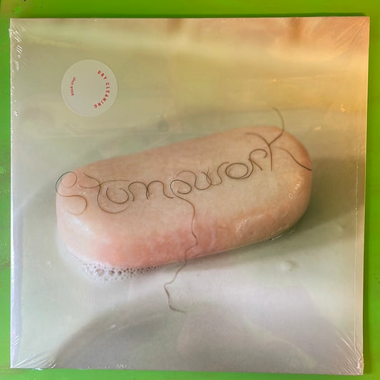 Dry Cleaning - Stumpwork | LP