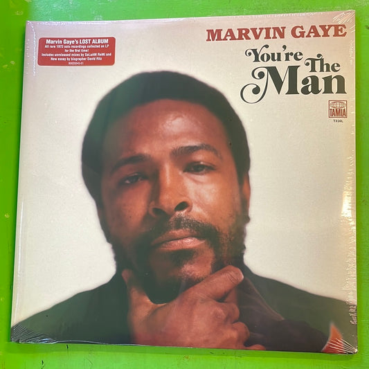 Marvin Gaye - You're The Man | 2LP