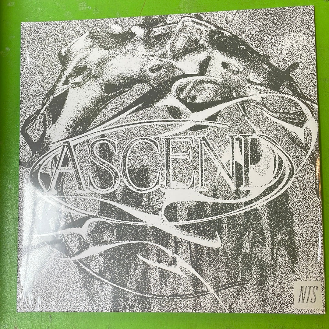 V/A - Ascend | 2LP