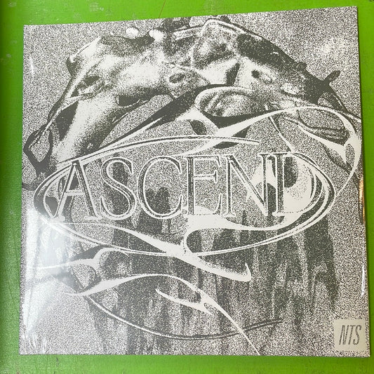 V/A - Ascend | 2LP