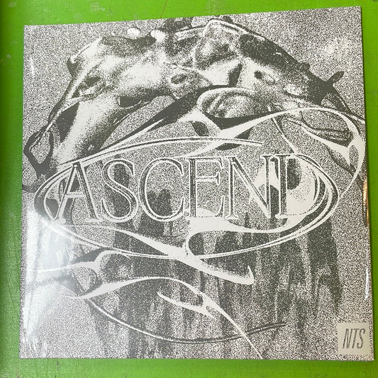 V/A - Ascend | 2LP