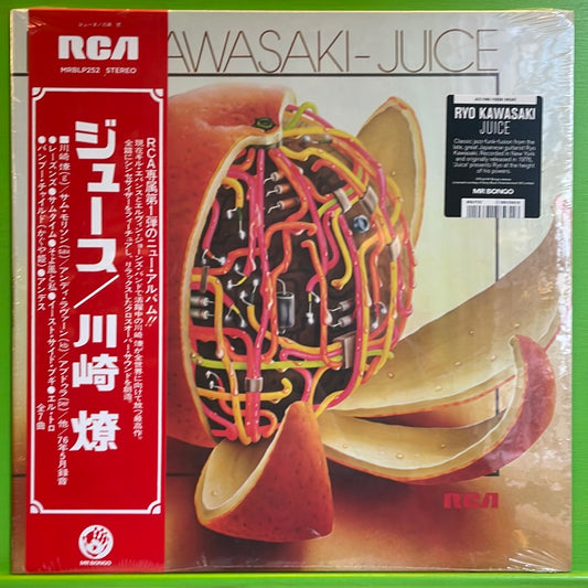 Ryo Kawasaki - Juice | LP
