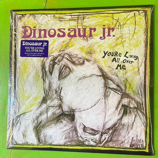 Dinosaur Jr. - You're Living All Over Me | LP